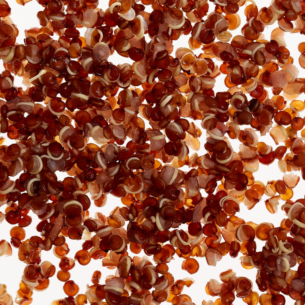 Red Quinoa Extract