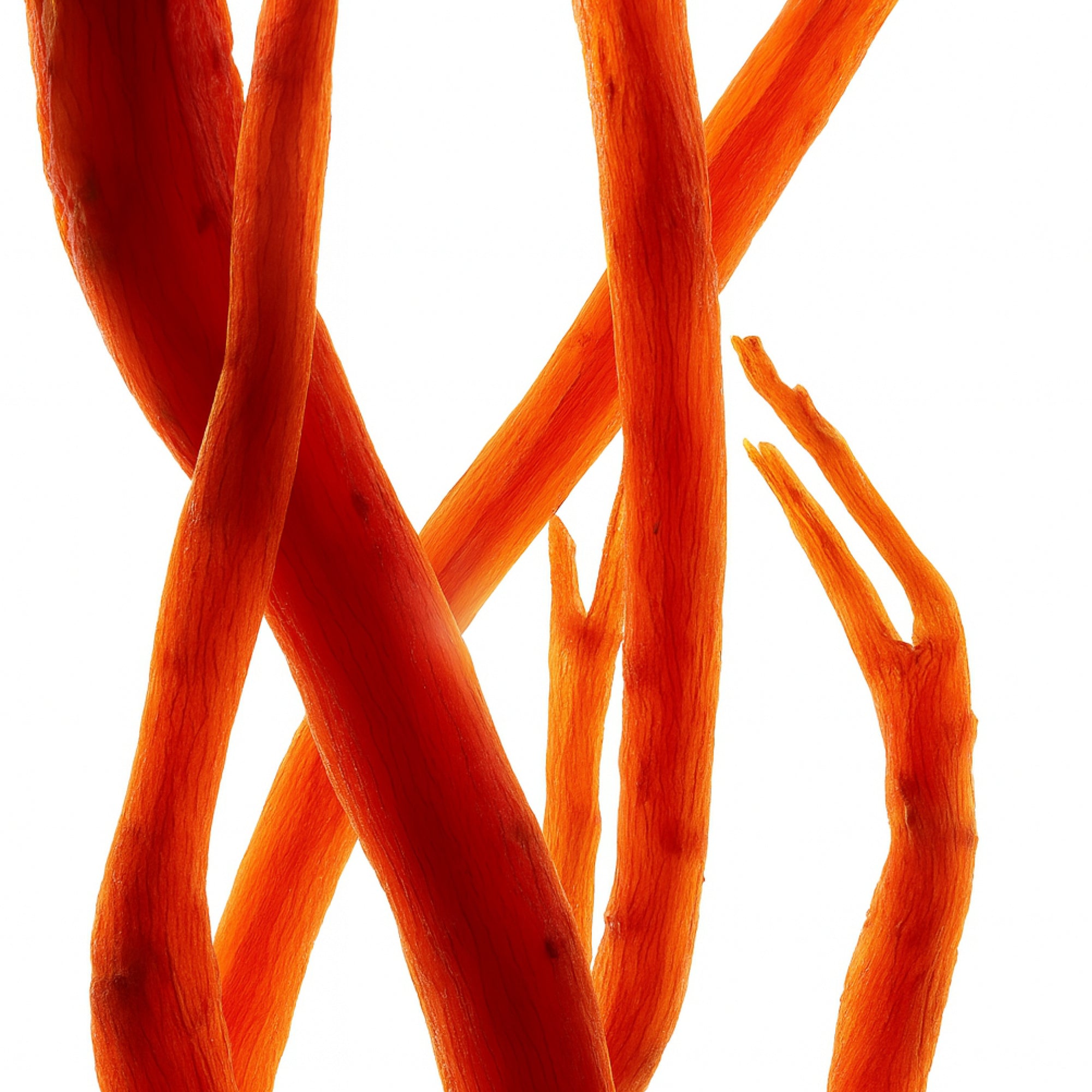 Red Ginseng